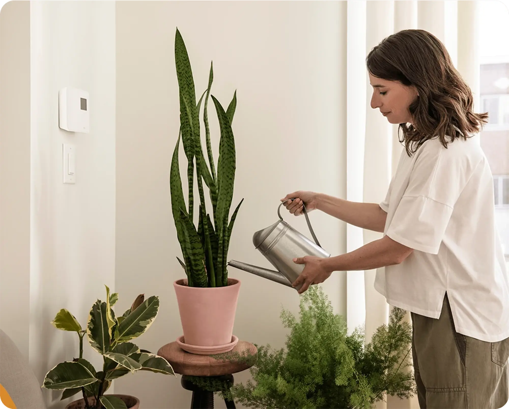 Femme arrosant des plantes d’intérieur dans un appartement lumineux, utilisant un arrosoir en métal près d’autres plantes vertes décoratives.